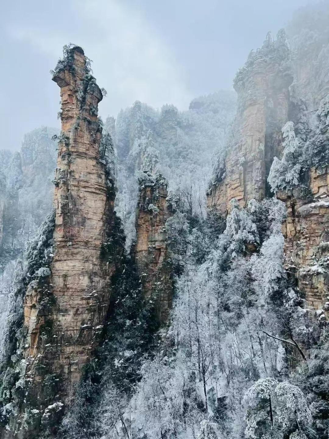 Zhangjiajie Tingyutang Little Yard Dış mekan fotoğraf