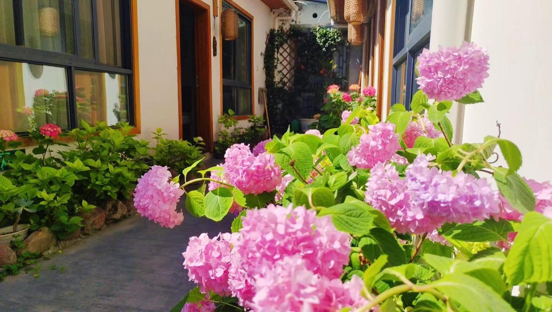 Zhangjiajie Tingyutang Little Yard Dış mekan fotoğraf